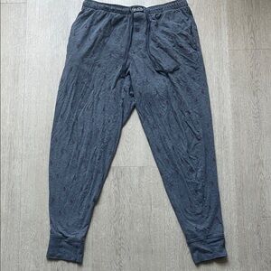 Polo Ralph Lauren Grey Joggers with Red Accents